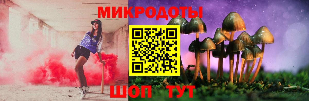 Псилоцибиновые грибы Psilocybe Ступино